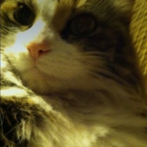 Meet your Posher, Kelli